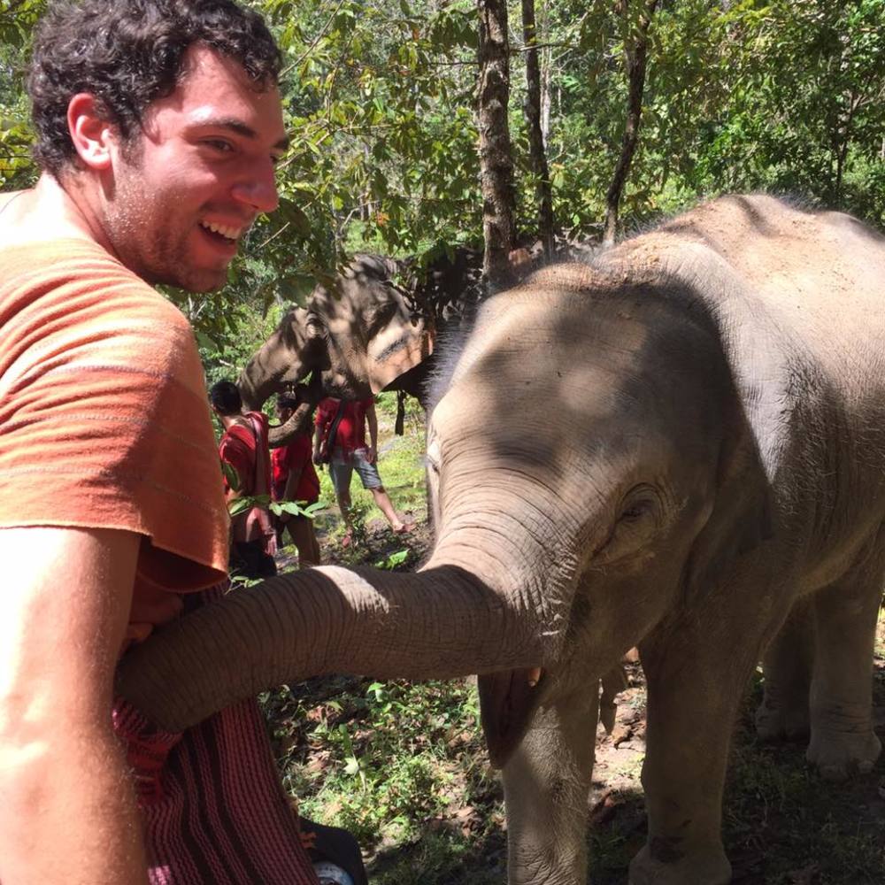 Meet your Posher, Alex